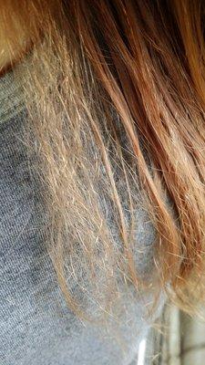 Heavenly Hair Creations by Darlene