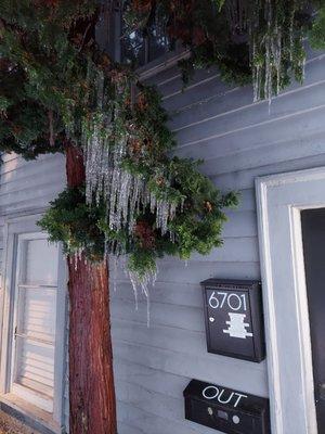 Awakenings Acupuncture