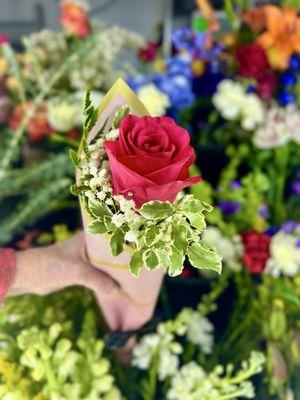 Wild At Heart Floral