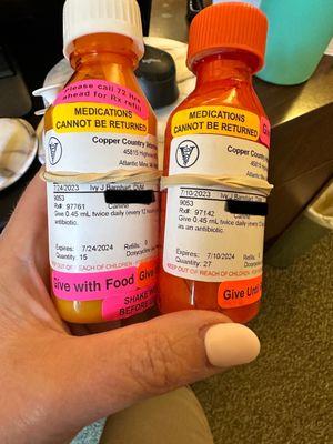 Copper Country Veterinary Clinic