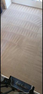 Get Green Carpet Cleaning - Hartford CT