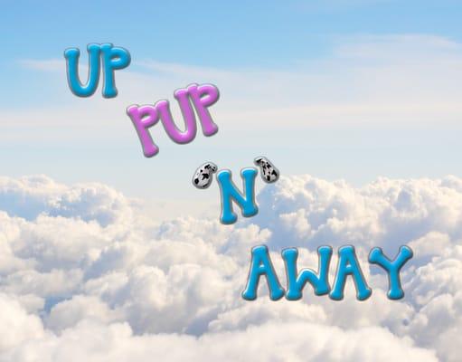 Pets * You * Gifts * Travel * GO!
Come shop for you Cats, Dogs and YOU!