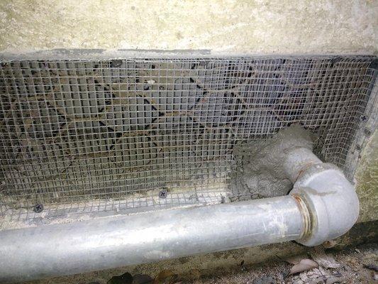 Barricade Rodent Proofing