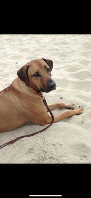 Soundview Veterinary Hospital