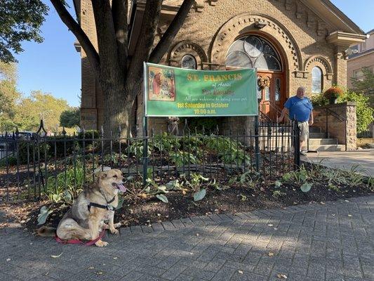 St Francis of Assisi Church