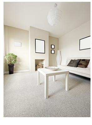 Green Carpet Care & Tile Restoration