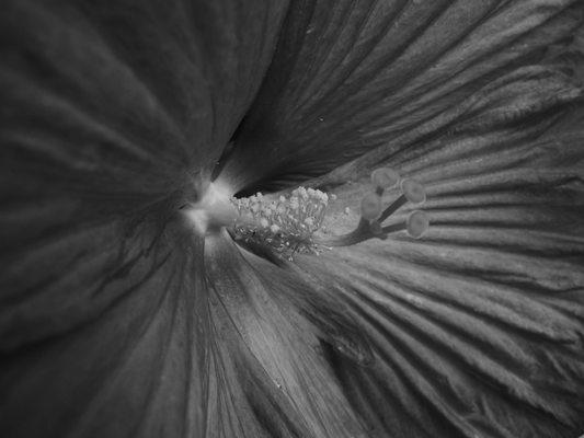 ICS Services And Products