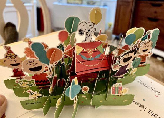 The pop up cards are elaborate and detailed. 02/20/24