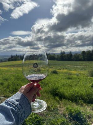 Winter's Hill Estate