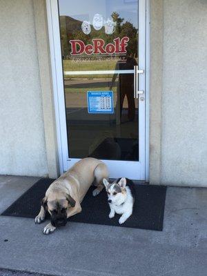 Derolf Animal Hospital