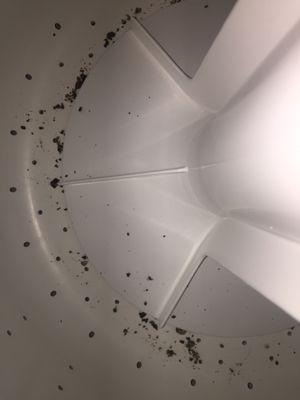 Crud in washer after running it the first time. Squeaks and stops before final spin cycle. Sold me a defective product and disappeared