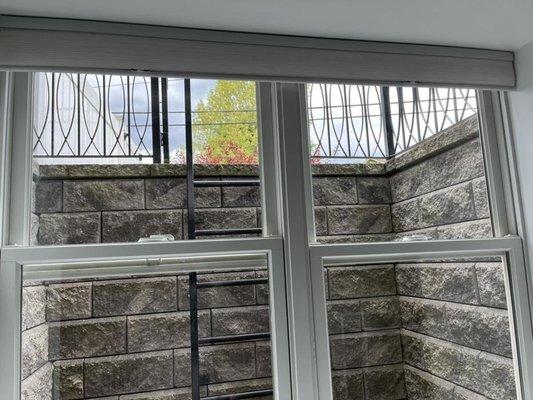 McCarthy & Morris Exterior Cleaning Services