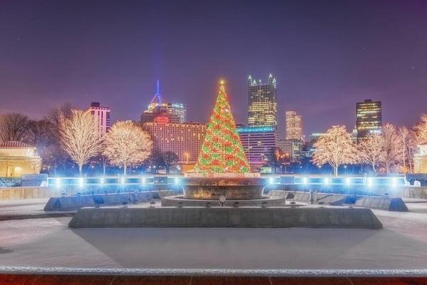 Stephen J O'Brien & Associates