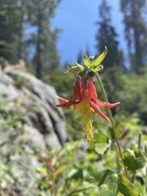 Loch Leven Lakes Trail