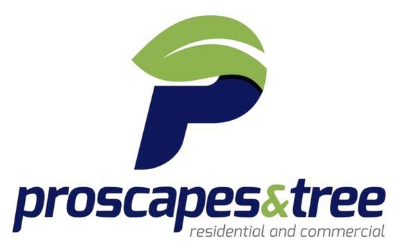 Proscapes and Tree