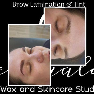 Brow Lamination and Tint