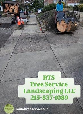RTS Tree Service & Landscaping