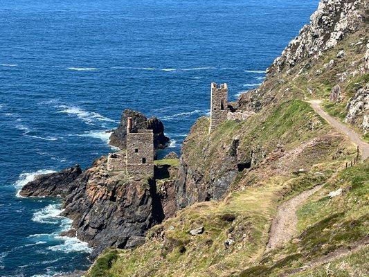 Dacey's Cornish Tours