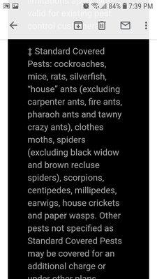 Screenshot of services