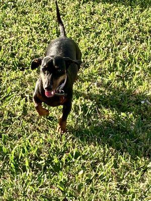 Veterans Community Park