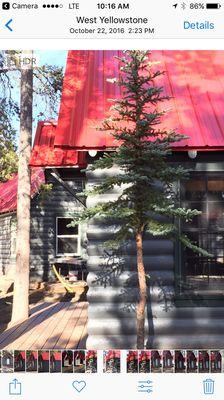 Yellowstone Cabins and Rv Park