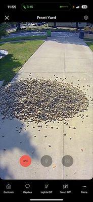 Rocks up to my garage and over my drain