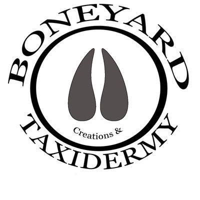 Boneyard Creations & Taxidermy
