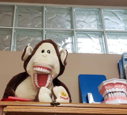 Robert S Mattingly, DMD