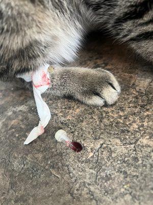 Millcreek Animal Hospital