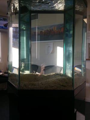 Soooooooooo sad No more Fishy ;(