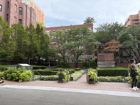 Posted with review 08/28/25