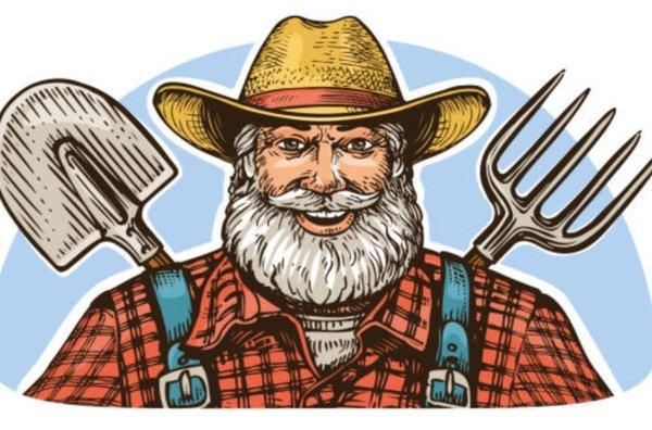 Culver's Flea Market