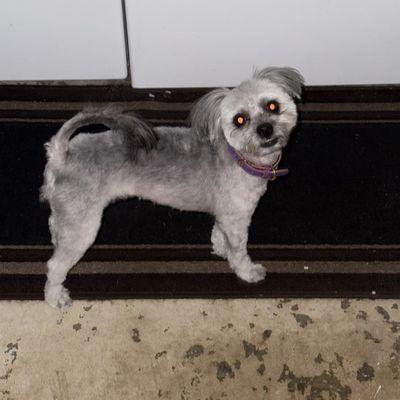 Finished and so cute!!