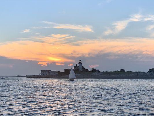 Barnstable Harbor Ecotours