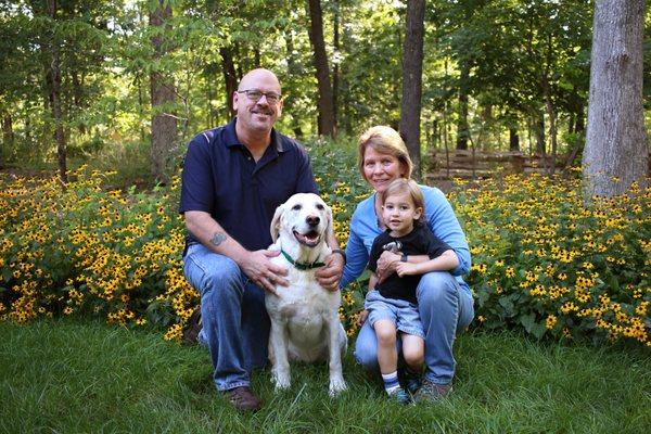 Pet Wants Springfield