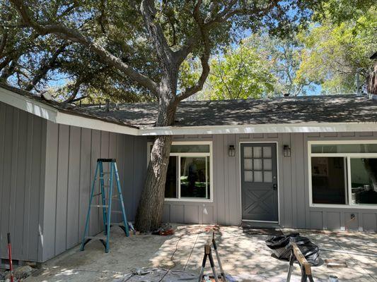 Protex Pest and Termite Treatments