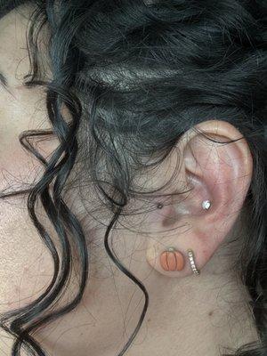 Isla is the best! Quick easy conch and swapped old suck on tragus!