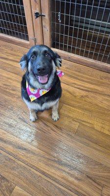 Jolly Ranch Pet Resort