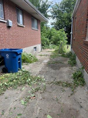 Pops & Sons Junk Removal