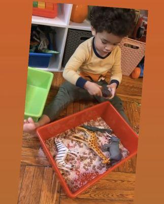 Sensory Play!