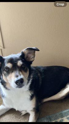 19 Mile Veterinary Hospital