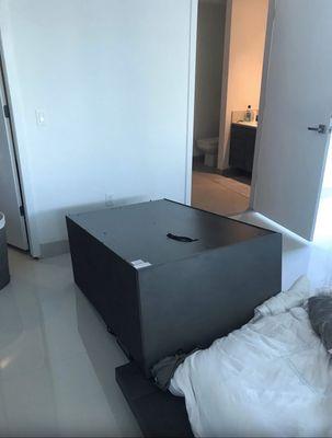 Fell on the bed and almost killed our dog