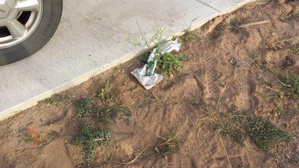 Green Acres Landscaping