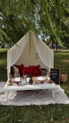 Ideal Picnic