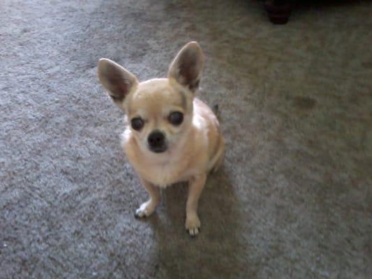 Temple Grooming & Pet Supply