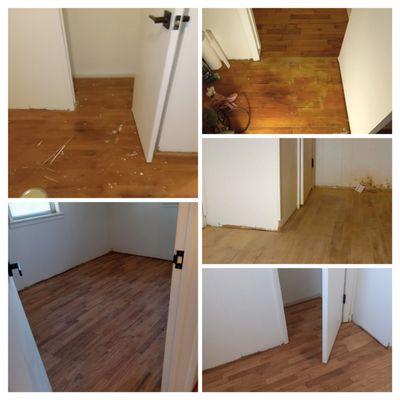 Telishas Painting and Restoration