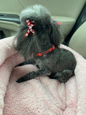 Luckys Yellow Rubber Ducky