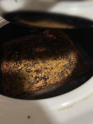 Mirabella apartments