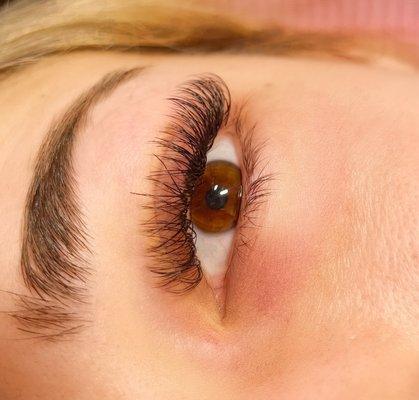 Hybrid Lashes