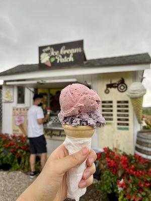 Ice cream Double Scoop ($8) - Strawberry and blueberry fresh fruit!